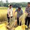 Lewat Bertani dan Berternak Kapolsek Panongan Gerakkan Ekonomi Warga Panongan Tangerang   
