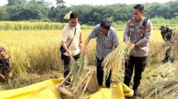 Lewat Bertani dan Berternak Kapolsek Panongan Gerakkan Ekonomi Warga Panongan Tangerang   