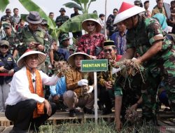 Mentan Amran dan KASAD Jenderal Maruli Panen Bawang Merah di Kawasan Urban Farming Cibitung wanajaya