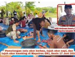 Polres OKI Menyembelih 1 Ekor Kerbau, 7 Ekor Sapi Dan 7 Ekor Kambing Untuk Ibadah Qurban