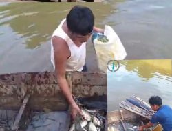 Terancam Mata pencarian Nelayan Sungai Danau Lancang, Disebabkan Sungainya Sekarang Tercemar Limbah Pabrik