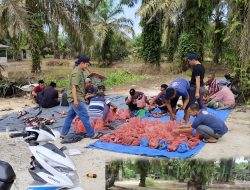 Perayaan Iduladha 1445 H di Mesjid Nurul Iman Palimpang makmur