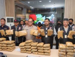 Polres Metro Jakarta Utara Gagalkan Peredaran Ganja Seberat 77 Kg