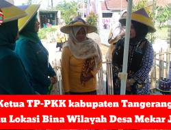 Ketua TP-KKK kabupaten Tangerang Tijau Lokasi Bina Wilayah Desa Mekar Jaya