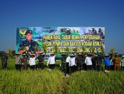 Kodim 0402/OKI Dan Pangdam II/Sriwijaya Kunjungi Panen Raya di Kecamatan Lempuing