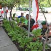 Komitmen Dukung Ketahanan Pangan, Kodim 0831/Surabaya Timur Sukses Panen Sayur.