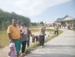 Terus Tingkatkan Hanpangan, Babinsa Sepuluh Turun Tangan Bantu Tanam Pad