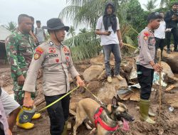 Polri Kerahkan 102 Personel dan Satu Anjing K9 Cari Korban Longsor di Kelurahan Rua, Ternate