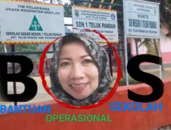 Meliana Kepala Sekolah SDN 1 Teluk Pandan, Diduga Kuat Melakukan Korupsi Dana BOS