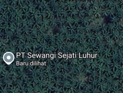 PT. Sewangi Sejati Luhur desa bukit kemuning.perusahaan sawit diduga tidak realisasikan CSR.