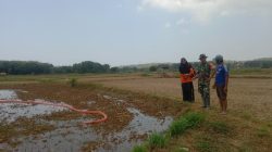 *Sertu Sutikno Dampingi Petani Dalam Pengairan Sawah*