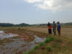 *Sertu Sutikno Dampingi Petani Dalam Pengairan Sawah*