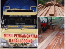 Praktik Illegal Logging Masih Marak Terjadi di kabupaten Rohul