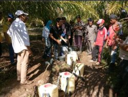 Presiden Terpilih Prabowo Harus Tahu, Pupuk Hayati Mikroba Teknologi Dr Lukman Gunarto Bikin Petani Sawit Cepat Kaya