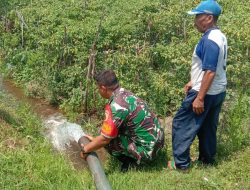 Babinsa Komsos Dengan Petani, Sebagai Wujud Kepedulian Guna Meningkatkan Hasil Pertanian