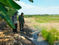 Pompanisasi Mendukung Produktivitas Pertanian di Wilayah Binaan