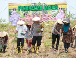 Wujudkan Swasembada Pangan, Polres Jombang Tanam Jagung di Lahan Kosong