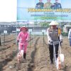 Wujudkan Ketahanan Pangan Mandiri, Polres Blitar Kota Bersama Masyarakat Tanam Jagung di Lahan Aset Polri