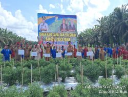 Wakili Pj Bupati Kampar, Kadis Pertanian Kampar Nurilahi Ali Lakukan Panen Raya Cabai Sekaligus Resmikan Bangsal Paska Panen 