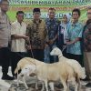 Pemberian Kambing Sebagai Bentuk penghargaan kepada Ketua RT Atas Pembayaran Pajak Bumi dan Bangunan (PBB) yang Cepat dan Lunas di Desa Sukodono