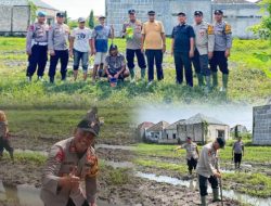 Kapolsek Sukodono AKP Sa,adun: Sinergi Antara Petani, Pemerintah dan Masyarakat Upaya Mewujudkan Kemandirian Pangan Masa Depan Pertanian