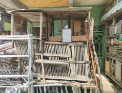 Bau Kotoran Hewan Ternak Milik Suud di Keluhkan Warga Gundih Lapangan, Pemkot segera Bertidak
