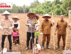 Pj Bupati dan Kapolres OKI Tanam Jagung Serentak