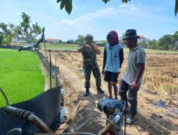 Kodim 0817/Gresik Gelar Latihan Perorangan Dasar Teritorial untuk Tingkatkan Kemampuan Prajurit