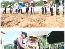 Gelorakan Swasembada Pangan Wakapolres Pamekasan Pimpin Penanaman Jagung di Pagantenan