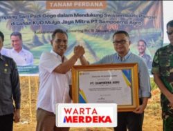 PT Sampoerna Agro Tbk Kolaborasi Dengan Dirjenbun Tanami Lahan PSR Dengan Padi