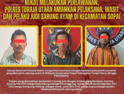 Reskrim Toraja Utara Tangkap Yang Nekat Melakukan Perlawanan, Amankan Pelaksana, Wasit dan Pelaku Judi Sabung Ayam di Kecamatan Sopai