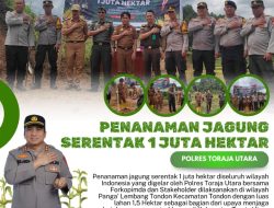 Wujud Nyata Ketahanan Pangan, Polres Toraja Utara Gelar Penanaman Jagung Serentak 1 Juta Hektar