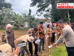 Polres Tator Gelar Penanaman Jagung , Untuk Mendukung Ketahanan Pangan di Kabupaten Tana Toraja