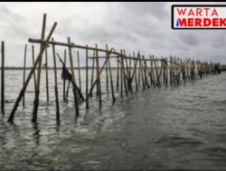 Pagar Laut Di Tangerang Melanggar Hukum Dan Merugikan Lingkungan