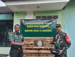 Jajaran Kodim 0830 Surabaya Budidaya Ayam Petelur Untuk Ketahanan Pangan dan Kesejahteraan Prajurit