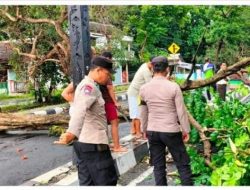 Polsek Loceret Evakuasi Pohon Tumbang di Candirejo, Kapolres Nganjuk Apresiasi Sinergi Warga dan Petugas