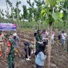 Polresta Banyuwangi Bersama Kelompok Tani Tanam Jagung Serentak Gelorakan Swasembada Pangan