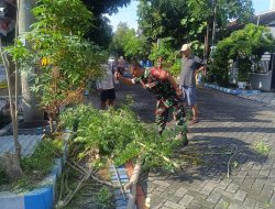 Babinsa Baratajaya Bersama Warga Gelar Kerja Bakti Perampingan Pohon
