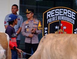 Polres Bondowoso Berhasil Temukan dan Kembalikan 3 ekor Sapi yang Hilang Pemilik Tersenyum Riang
