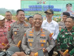 Polres Mojokerto Panen Raya Jagung Hasil Olah Lahan Tidur untuk Ketahanan Pangan
