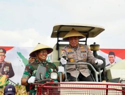 Irwasum Polri Pimpin Panen Jagung Serentak di Madiun, Wujudkan Astacita