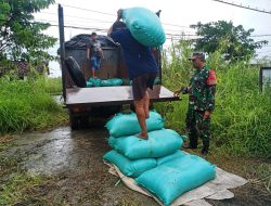 BABINSA KORAMIL 0817/10 BENJENG DAMPINGI BULOG SERAP GABAH PETANI DI DESA BULANG KULON
