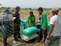 Serapan Gabah di Nganjuk Optimis Lampaui Target