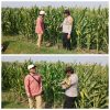 Bhabinkamtibmas Lengkong Pantau Lahan Jagung Warga untuk Dukung Ketahanan Pangan