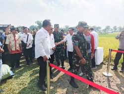 Danrem 084/Bhaskara Jaya Menghadiri Panen Raya Padi Serentak di 14 Provinsi Bersama Presiden RI Prabowo Subianto Secara Virtual