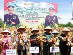 Polisi dan Warga Tani Panen Raya Jagung Hibrida Bhayangkara Tahap II di Ponorogo