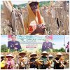 Petani di Ponorogo Puas dengan Jagung Hibrida Bhayangkara, Panen Melimpah dan Tahan Penyakit