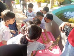 Buaya Dan Anak