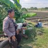 Polsek Lengkong Dukung Ketahanan Pangan Lewat Pemantauan Lahan Persawahan Warga