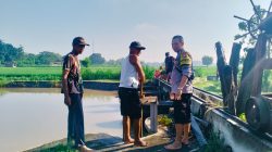 Img 20250512 Wa0106